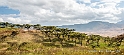 Ngorogoro Crater_HBA0829